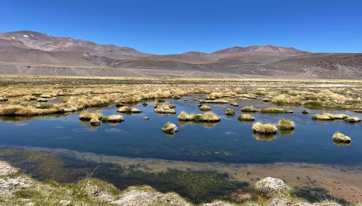 DGA Atacama sanciona a Minera Peñoles por extracción no autorizada de aguas y CleanTech Lithium por no entregar información relativa a pruebas en laguna del Negro Francisco