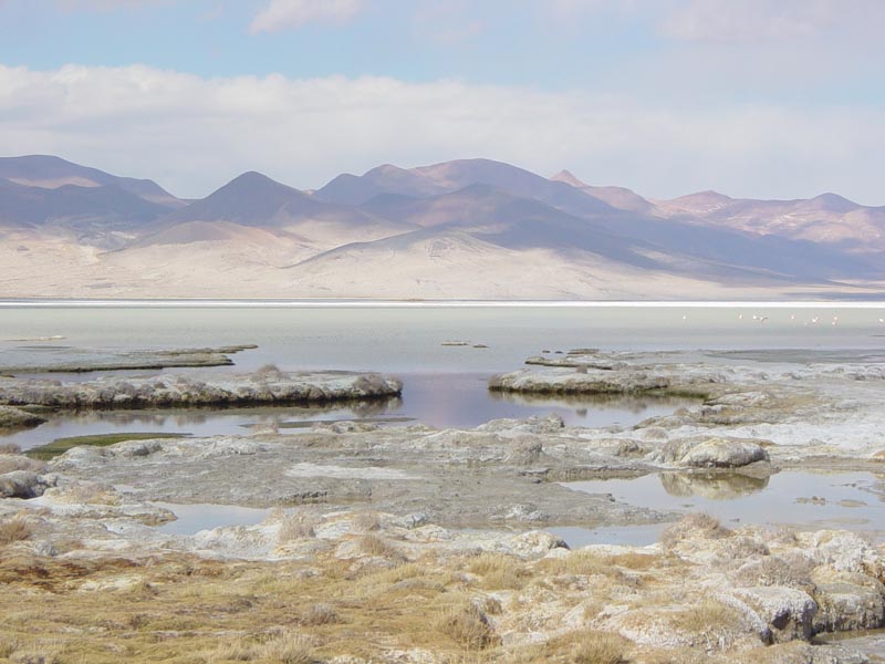Salar de Huasco, Región de Tarapacá