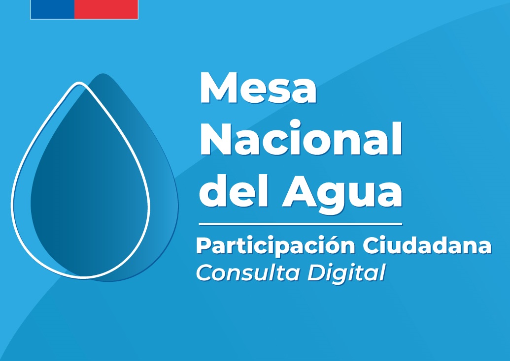 ¿Cómo participar en la Consulta Digital del Agua? 
