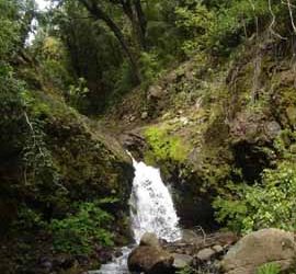 DGA publica nueva edición de Sendas del Agua