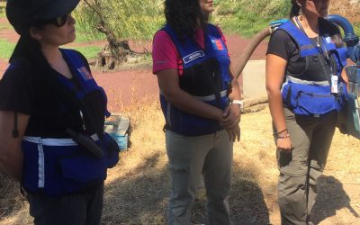 7 Prioridades Estratégicas DGA-MOP