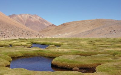 Con apoyo transversal la Comisión de Agricultura de la Cámara de Diputados aprobó indicación sobre caudal ecológico mínimo