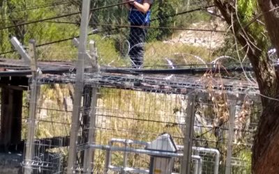 Último Boletín Hidrológico de la DGA