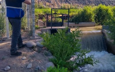 A Nivel Nacional: MEE de aguas superficiales comenzó en Cuenca del Aconcagua
