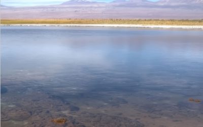 DGA Lanza Primer Atlas de Calidad del Agua Chile 2020