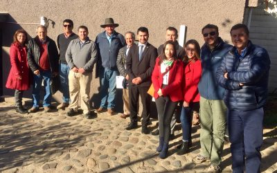 Instrucciones para realizar Juntas Generales Extraordinarias por vía remota