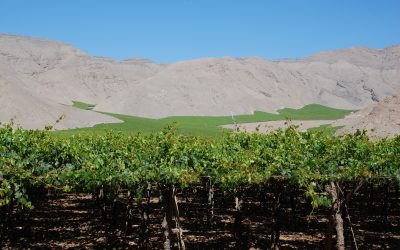 Empresas presentaron propuestas para proyecto de gestión integrada en la cuenca del río Copiapó