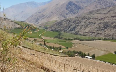 ¿Cuáles son las 104 comunas con Decreto de Escasez Hídrica?
