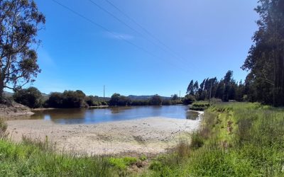 DGA Valparaíso multa con $33 millones a empresa agrícola por afectar estero Leyda en la provincia de San Antonio