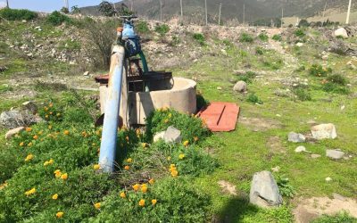 Corte Suprema ratifica decisión DGA que dejó sin efecto derechos provisionales en Petorca