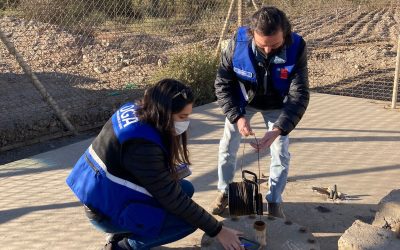 DGA apertura expediente de fiscalización en contra de Minera Candelaria para investigar eventual afectación del acuífero del río Copiapó