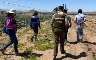DGA desarrollará un robusto Plan de Fiscalización a parcelaciones que consumen aguas subterráneas en el sector bajo del río Copiapó durante el 2023