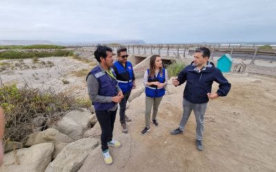 Autoridades de gobierno denuncian que extracciones no autorizadas de aguas ponen en riesgo ecosistema del humedal del río Lluta