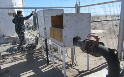 DGA del MOP Antofagasta multa a SQM Salar por no mantener en regla monitoreo de extracciones efectivas