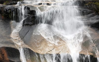 73 mil millones de pesos deberán pagar a la Tesorería General de la República por concepto de patentes quienes no usan el agua