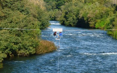 Actividades DGA en regiones por Día Mundial del Agua