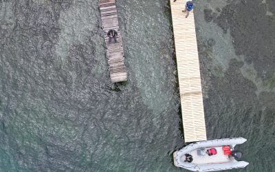 DGA del MOP Los Ríos avanza en fiscalizaciones en el lago Ranco durante la época estival