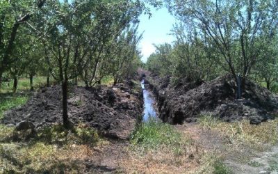DGA del MOP O’Higgins multa a 2 empresas agrícolas por extracción no autorizada de aguas