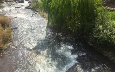 Remates de Derechos de Aguas