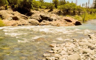 DGA Maule declara desierto remates y deja disponibles derechos de aguas en ríos y esteros