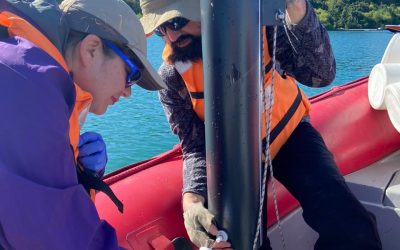 DGA fiscaliza calidad de las aguas del lago Villarrica en la región de La Araucanía