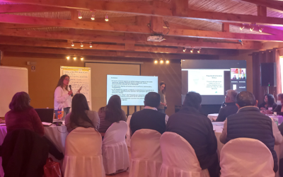 DGA Antofagasta participa en Mesa Multiactor orientada a gestionar acciones para el cuidado del ecosistema de la cuenca del salar de Atacama