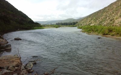 Comisión del Senado despachó Reforma al Código de Aguas que consagra derecho humano al agua