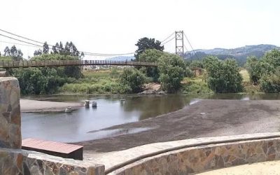 Suspensión de remates por disponibilidad de aguas en El Maule