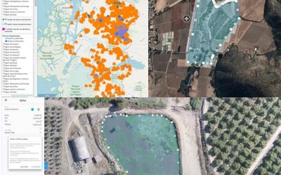 Procedimiento para Cumplimiento Revisiones de la Seguridad de la Información