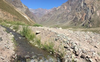 El 50% de las comunas de Chile con declaración de Escasez Hídrica