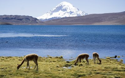 DGA y CONADI realizarán talleres para comunidades de aguas