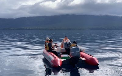 Dirección General de Aguas del MOP iniciará muestreo de calidad de las aguas del lago Llanquihue