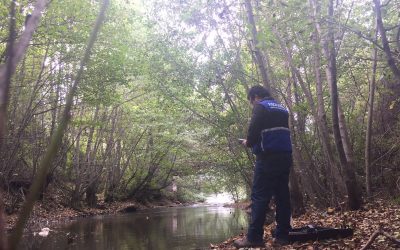DGA Biobío licita estudio ambiental para río Caliboro