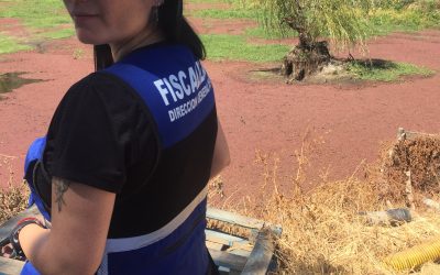 Nuevo Protocolo de Fiscalización de Aguas Subterráneas DGA-MOP