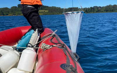 Dirección General de Aguas del MOP realiza muestreo de calidad de aguas del lago Llanquihue