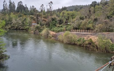 DGA Los Ríos multa a empresa agrícola por construir obra sin autorización en el cauce del río Futa en la comuna de Valdivia