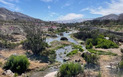 DGA Atacama conmemora un año de la recuperación del caudal del río Copiapó en el sector del Parque Kaukari