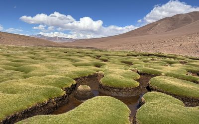 Entra en vigencia reglamento para solicitar derechos de aprovechamiento de aguas no extractivo o in situ