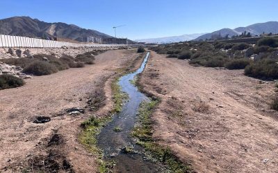 DGA Atacama informa recuperación de aguas subterráneas en las comunas de Copiapó y Tierra Amarilla gracias al flujo del río Copiapó en el Parque Kaukari