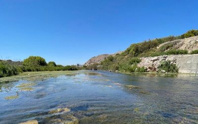 DGA Atacama declara comprobadas denuncias en contra de la Junta de Vigilancia del Río Huasco por faltas y abusos graves en la administración del agua del río
