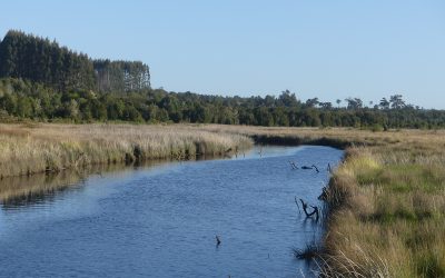 Maullín avanza en seguridad hídrica: Dirección General de Aguas del MOP protege aguas subterráneas de la cuenca