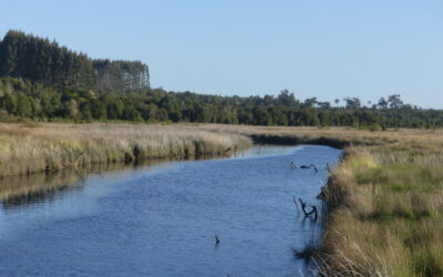 Consulta pública del MOP sobre el Plan Estratégico de Recursos Hídricos de la Cuenca del Río Maullín cierra en los próximos días