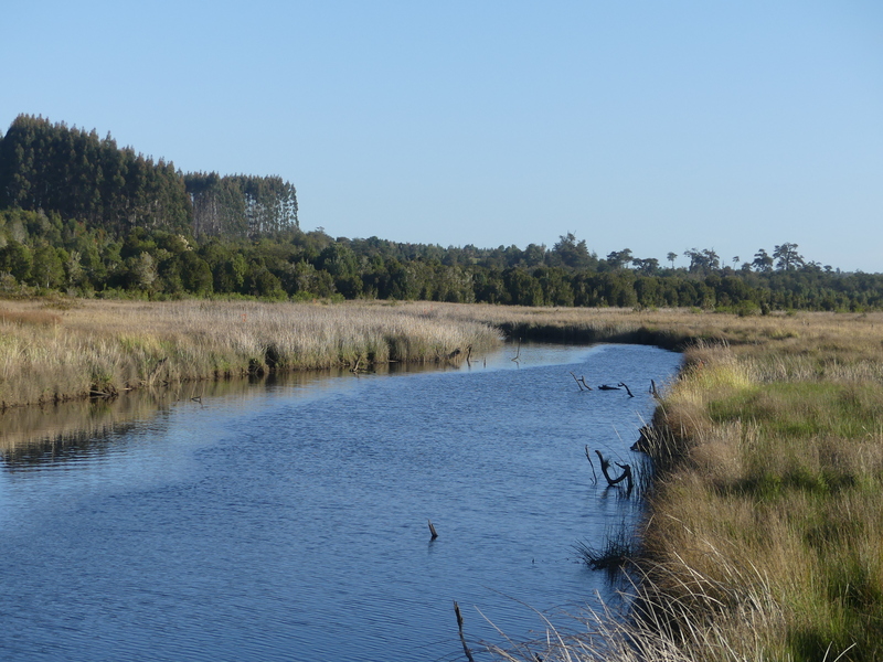 Cuenca del río Maullín PERHC (1)