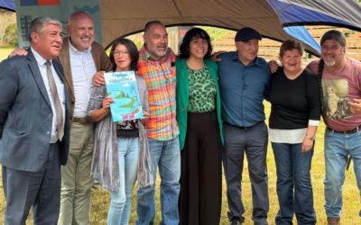 DGA Los Lagos entrega concesión de derecho de aprovechamiento de aguas a Comité de APR Llicaldad en la comuna de Castro