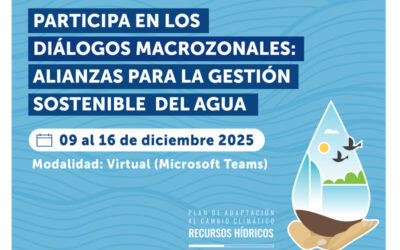 MOP convoca a sectores productivos a participar en talleres virtuales para elaborar estrategia nacional en adaptación hídrica