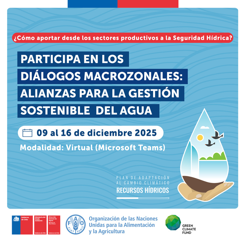 Flyer_FAO_261125_IG_1