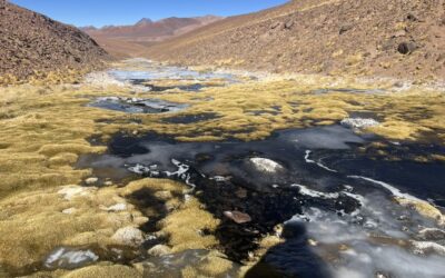 MOP y FAO invitan a participar en talleres para construir los primeros indicadores de seguridad hídrica a nivel de cuenca